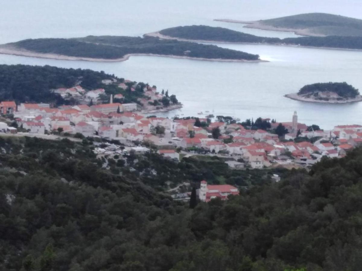 Marina * Hvar Town