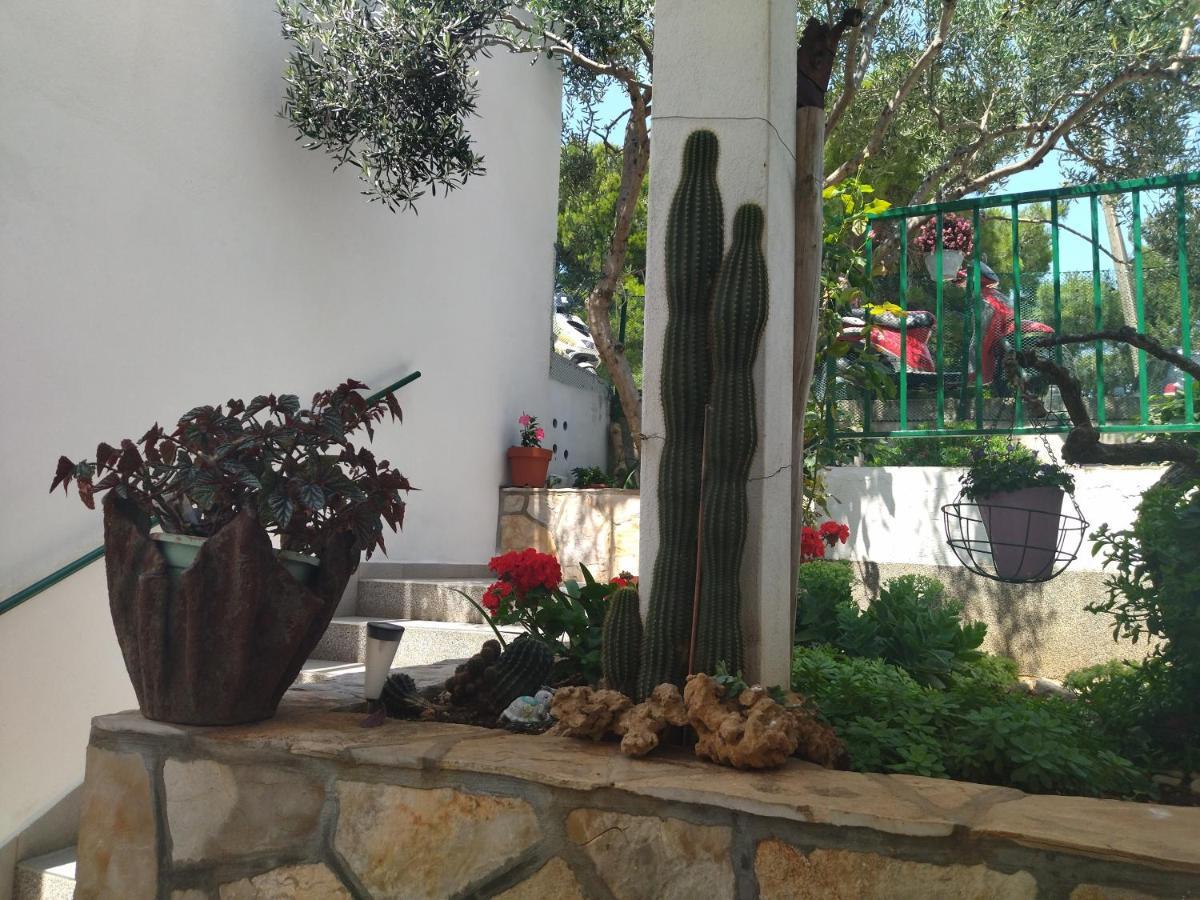 Marina Apartment Hvar Town