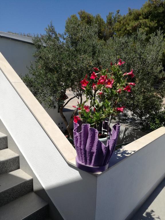 Marina Apartment
